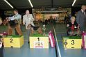 kerstshow 2008 011